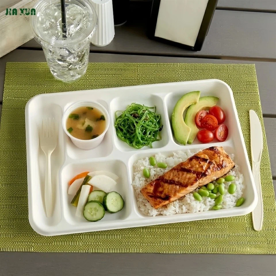 Wholesale 6-compartment bagasse food tray for catering