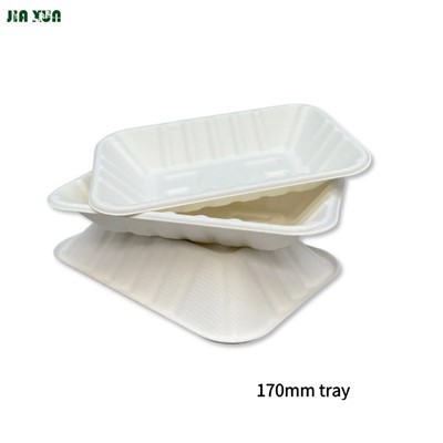 Vassoi compostabili in bagassa